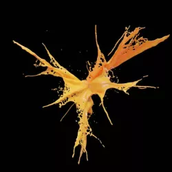 Liquid Explosion