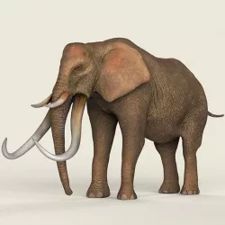 Low poly Realistic Elephant