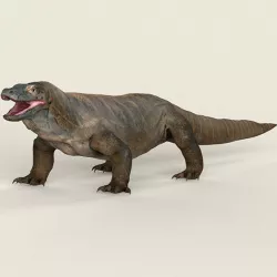 Low poly Realistic Komodo Dragon