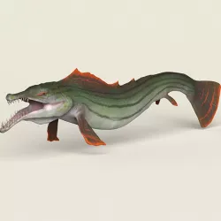 Low poly Realistic Pike Fish