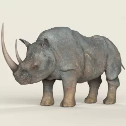 Low poly Realistic Rhino