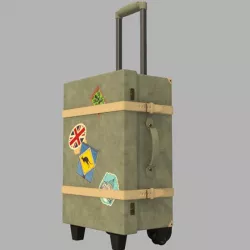 Luggage