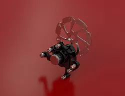 Mini bike and scooter disk