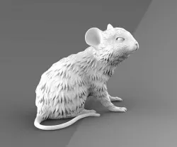 Mouse