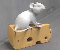 Mouse