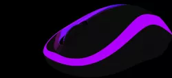 Mouse Model