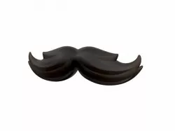 Mustache