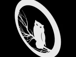 Owl Model