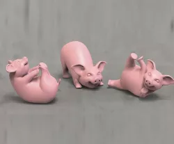 Pigs