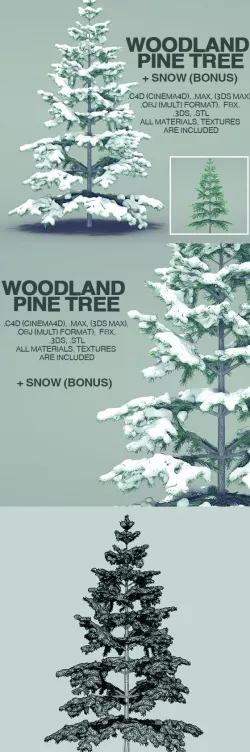 Pine Tree (Snow)