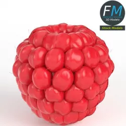 Raspberry
