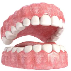 Realistic Mouth teeth