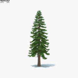 ▷ redwood texture 3d models 【 STLFinder 】