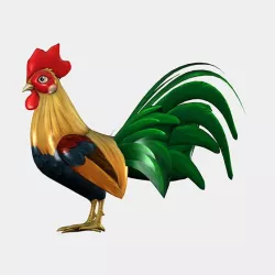 Rooster