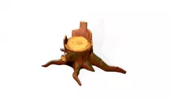 Root sculpt