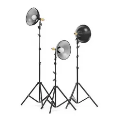 Studio Lights 3D Model