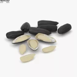 Sunflower Seeds