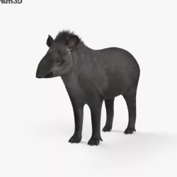 Tapir HD