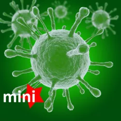 The Flu Virus
