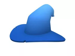 Wizard Hat