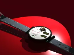 Wrist watch 2