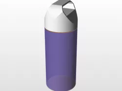 Bottle