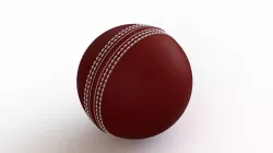cricket ball