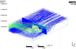 Modeling Multi-Species Flow