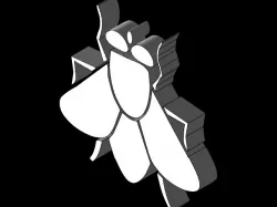 mosca mexicana