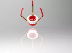 Robotic Hand