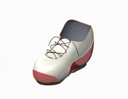 Shoe