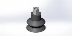 Suction Cup