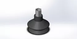 Suction Cup