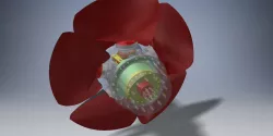 Turbine Kaplan