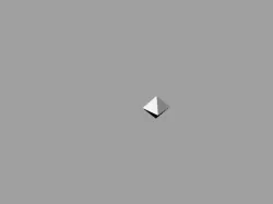8 Sided Die