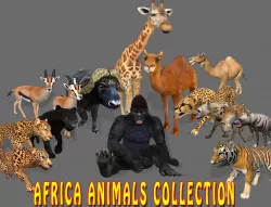 AFRICA ANIMAL COLLECTION - ANIMATED Low-poly  3D model
