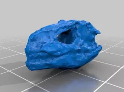 Allosaurus Skull
