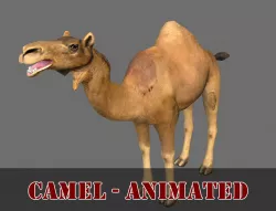 ANIMATED CAMEL 3D MODEL - GAME READY Low-poly  3D model