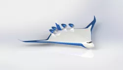 BWB - Blended Wing Body Aircraft