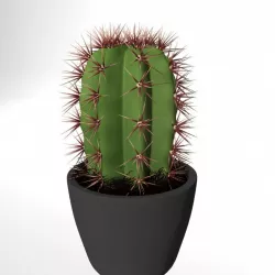 Cactus 3D model