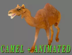 CAMEL 3D MODEL - ANIMATED Low-poly  3D model