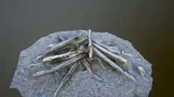 Campfire photoscanned Low-poly  3D model