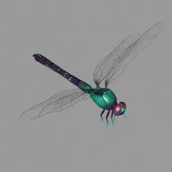 Cartoon dragonfly 3D model