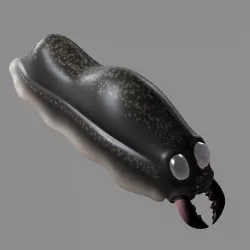 Cartoon firefly larvae 3D model
