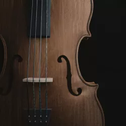 Cello 3D model