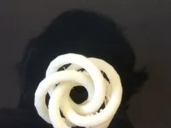 Complex Knotted Torus (Knotted Donut)