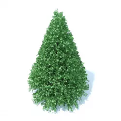Cone Shaped Hedge 3D model