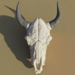 Cow Skull 3D model