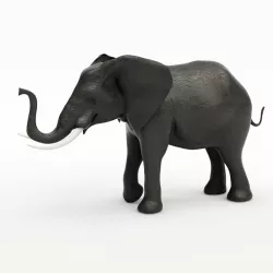 Elephant 3D model