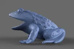 Frog Toy 3D model